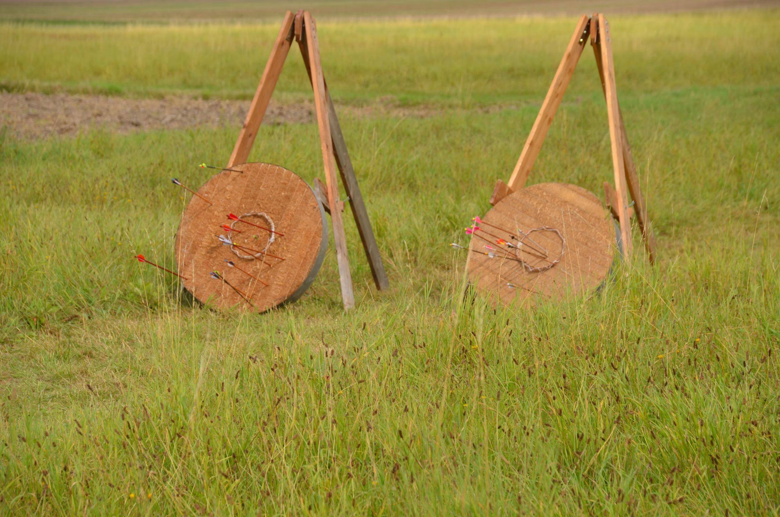 Zwei Clout-Bogenschießziele mit vielen Pfeilen im grünen Gras beim Siebenberge Clout Bogenwettbewerb 2021 von Pfeilflugkunst.