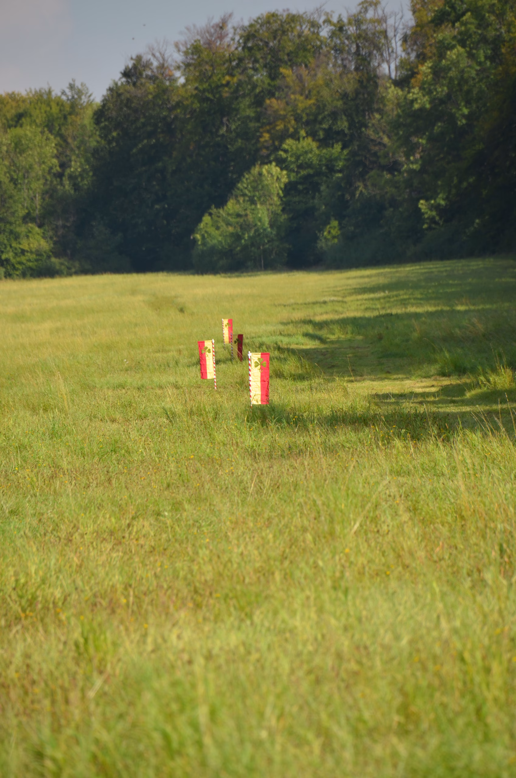 Clout-Ziele (rote und gelbe Flaggen) in einem weiten grünen Feld beim Siebenberge Clout Bogenwettbewerb 2021 von Pfeilflugkunst.